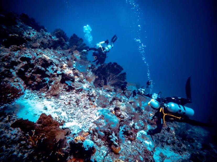 Bali Menjangan Island: Beginner Discovery Scuba Diving with PADI Instructor 2