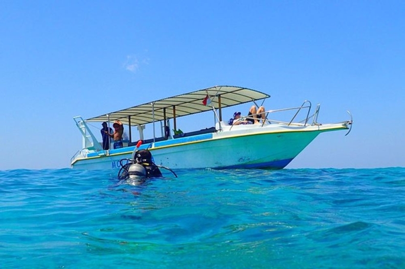 Bali Menjangan Island: Beginner Discovery Scuba Diving with PADI Instructor 3