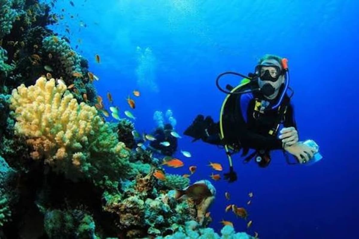 Bali Menjangan Island: Beginner Discovery Scuba Diving with PADI Instructor Bali Menjangan Island: Beginner Discovery Scuba Diving with PADI Instructor