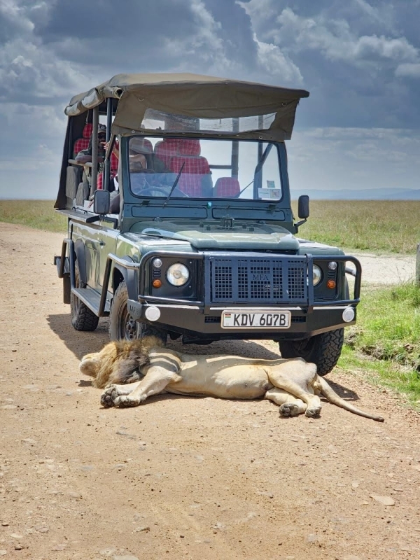 1 Day Maasai Mara Luxury Fly In Safari 3