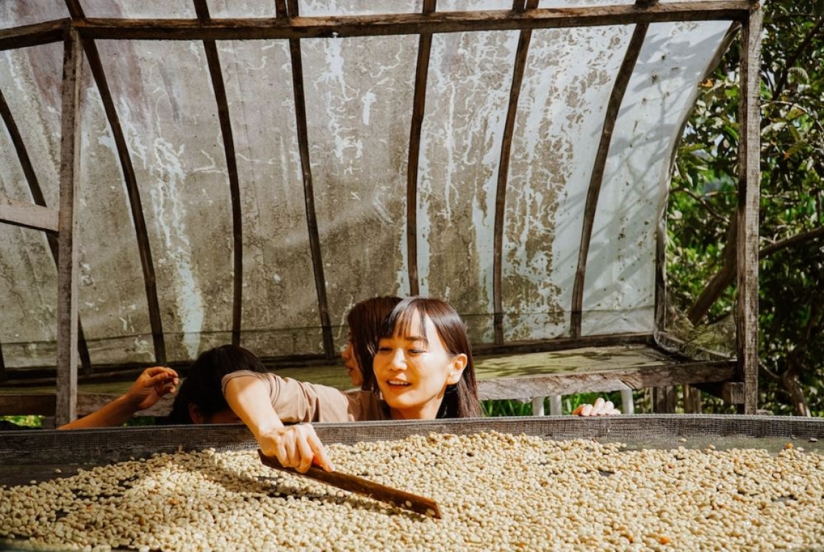 Bali Kintamani Coffee Culture Tour: Farm Walk, Roasting & Tasting 1
