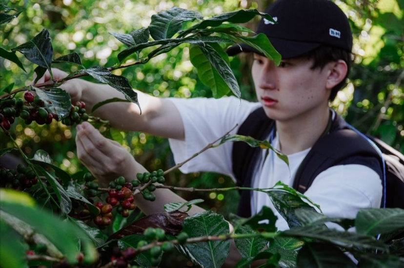 Bali Kintamani Coffee Culture Tour: Farm Walk, Roasting & Tasting 4