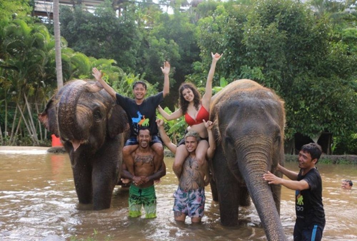 Bali Elephant Mud Fun & Bathing Experience at Bali Zoo with Lunch 1