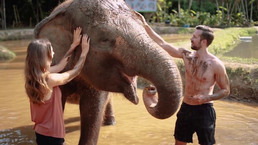 Bali Elephant Mud Fun & Bathing Experience at Bali Zoo with Lunch 2