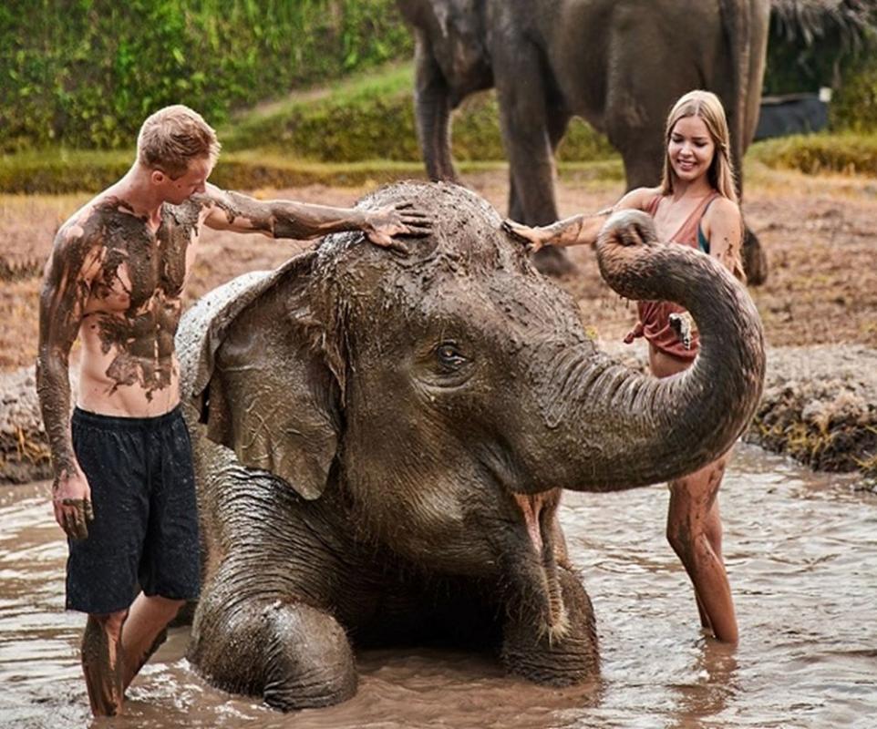 Bali Elephant Mud Fun & Bathing Experience at Bali Zoo with Lunch Bali Elephant Mud Fun & Bathing Experience at Bali Zoo with Lunch