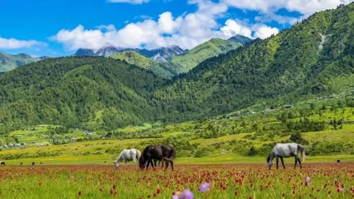 16-Day Exclusive Dhorpatan Mountain Hunting Expedition 1