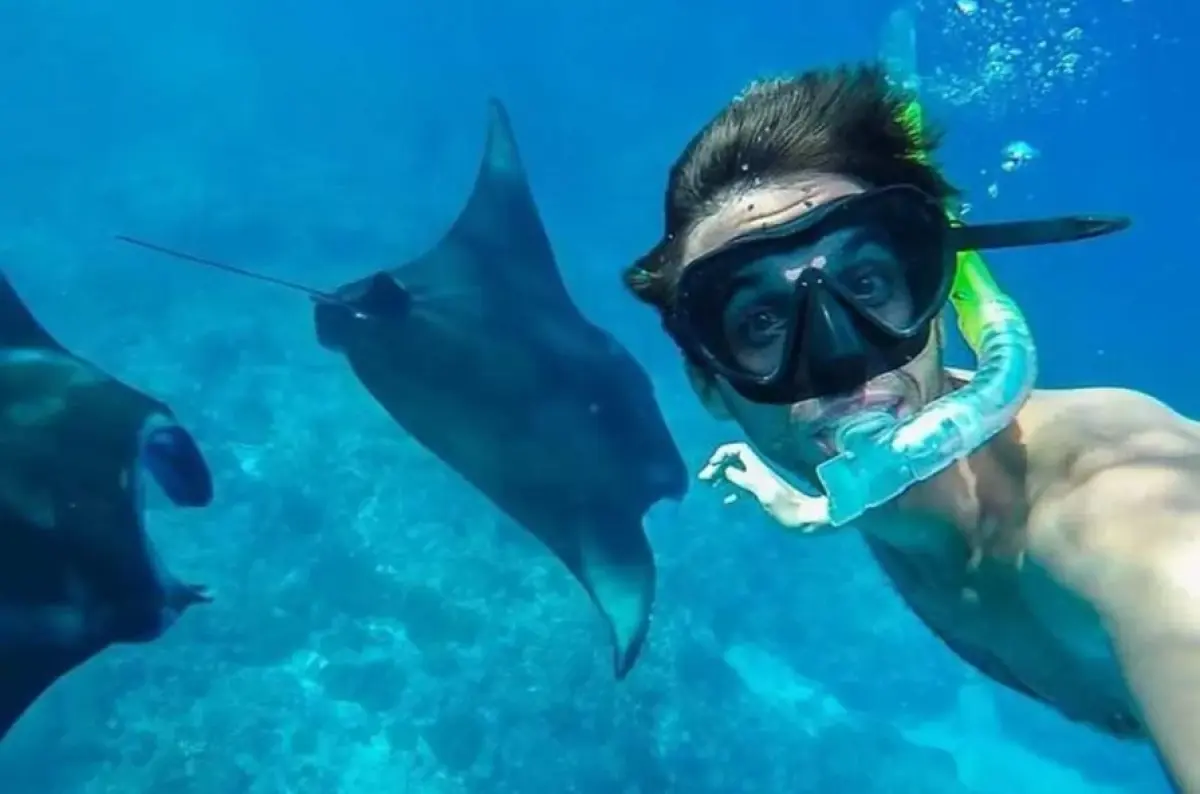 Bali Nusa Penida Manta Point Snorkeling & West Island Tour Bali Nusa Penida Manta Point Snorkeling & West Island Tour