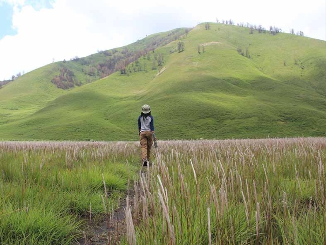 Mount Bromo Sunrise Tour from Malang: Widodaren, Whispering Sands & Teletubbies Hill 1