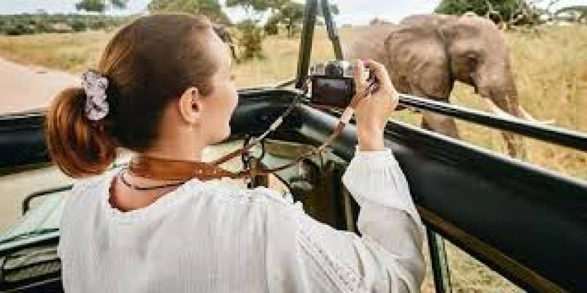 3 Day Tanzania Group Camping Safari Tour: Tarangire, Ngorongoro Crater & Lake Manyara 2