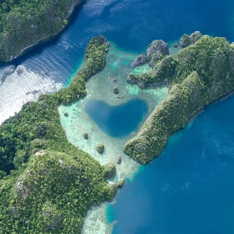 Raja Ampat One-Day Speedboat Tour from Sorong with Snorkeling 1