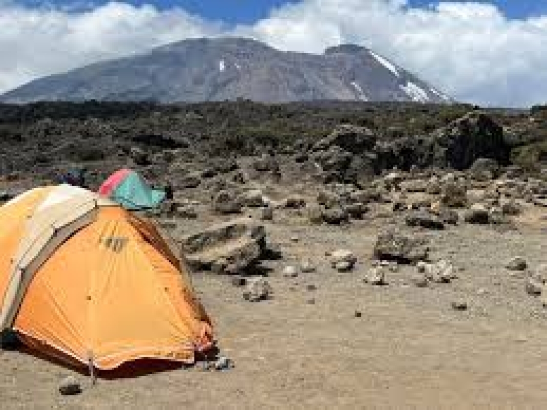5 Day Kilimanjaro Marangu Route Trek: Uhuru Peak Group Climb 1