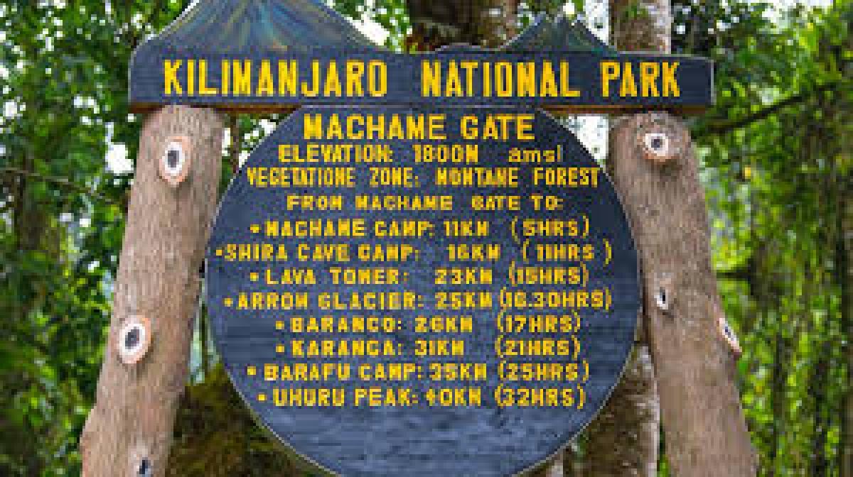 6 Day Kilimanjaro Machame Route Trek: Uhuru Peak Group Climb 6 Day Kilimanjaro Machame Route Trek: Uhuru Peak Group Climb