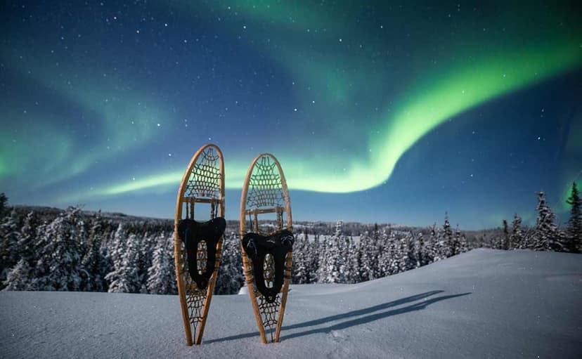 Northern Lights Snowshoeing Tour in Rovaniemi 2