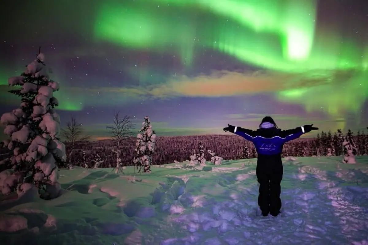 Northern Lights Snowshoeing Tour in Rovaniemi Northern Lights Snowshoeing Tour in Rovaniemi