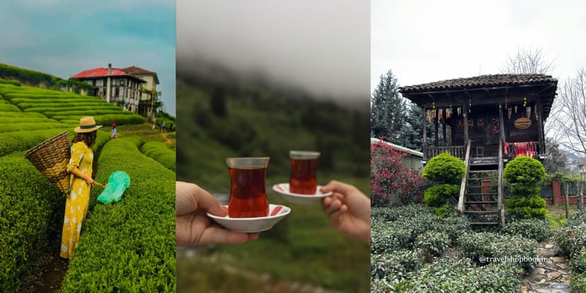 7-Day Black Sea Culinary & Highland Tour: Trabzon, Rize & Ayder 3