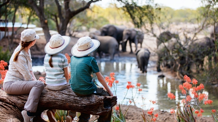 5 Day Jaipur & Ranthambore Wildlife Safari Tour: Jungle Safaris & Nature Experience 2