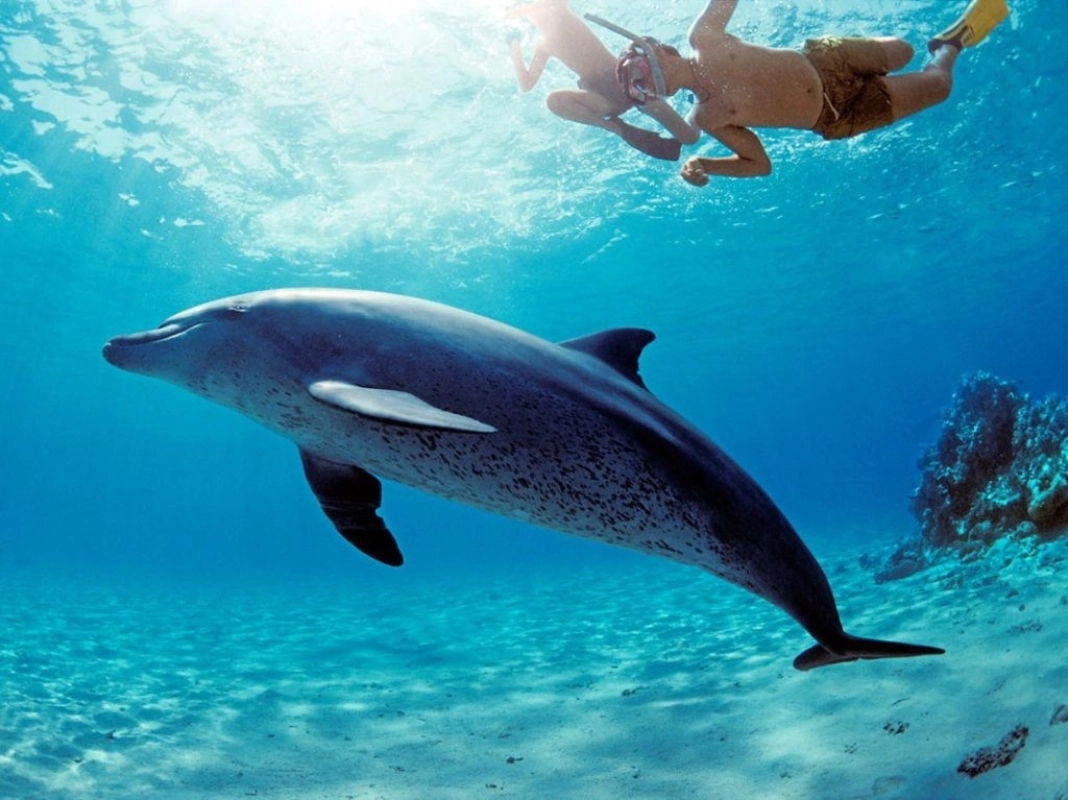 5 Day Hurghada Private Escape: Red Sea, Luxor Temples & Safari 1