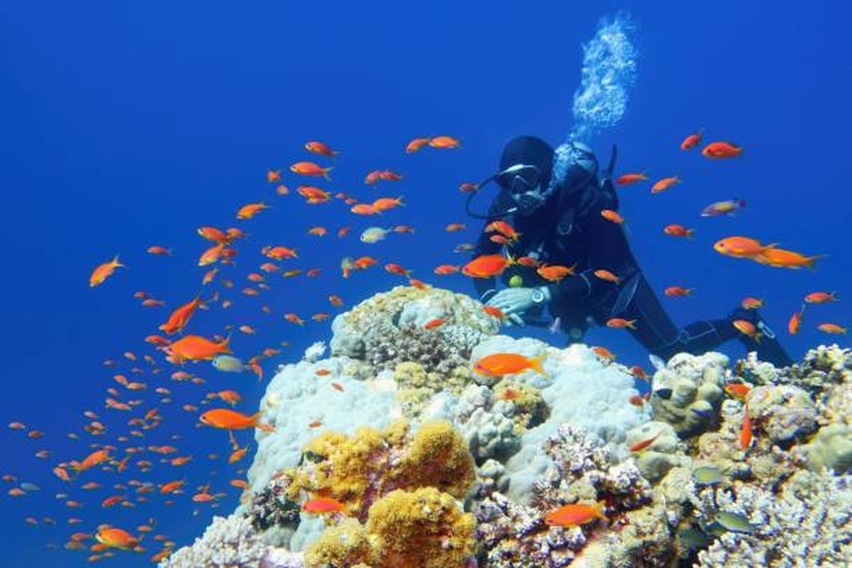 8 Day Private Red Sea & Luxor: Marsa Alam, Balloon & Temples 1