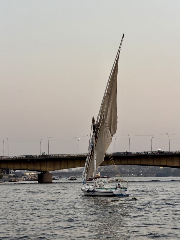 Private Felucca Sailing on the Nile in Cairo with Transfers 2