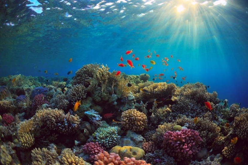 Dahab Desert Safari & Blue Hole Snorkeling Tour from Sharm El Sheikh 4