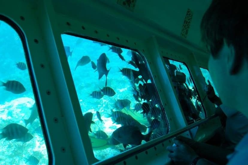 Sharm El Sheikh Glass-Bottom Boat Coral Reef Tour & Transfers 4