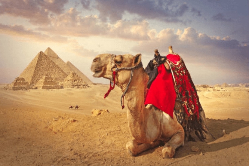 Giza Pyramids Private Tour: ATV Safari, Camel Ride & BBQ Lunch 3