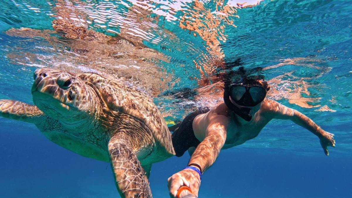 13 Day Private Luxury Marsa Alam Holiday: Turtles, Dolphins & Luxor 1