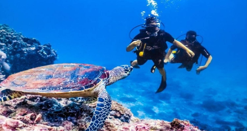 12-Day Private Luxury Egypt: Cairo, 4-Night Nile Cruise & Hurghada 2