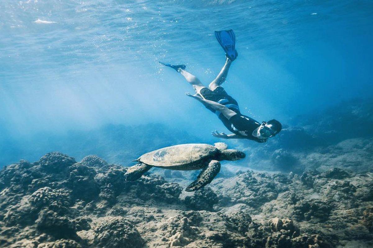 12-Day Egypt Private Tour: Marsa Alam Red Sea, Nile Cruise & Cairo 12-Day Egypt Private Tour: Marsa Alam Red Sea, Nile Cruise & Cairo
