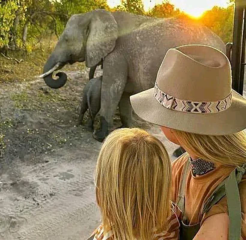 Full-Day Chobe Safari from Livingstone: River Cruise & 4x4 Game Drive 3