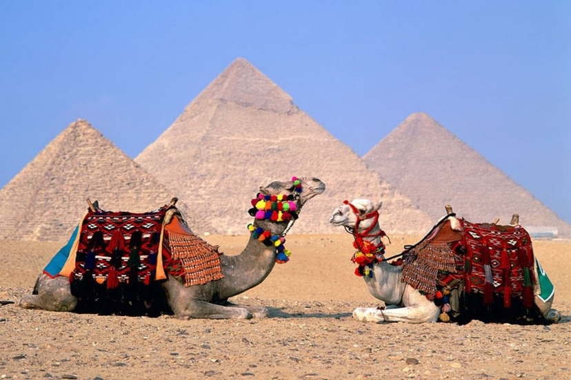 Full-Day Private Cairo Iconic Landmarks Tour & Professional Photoshoot 4