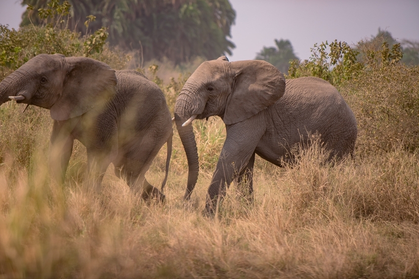 3 Day Budget Camping Safari: Tarangire, Ngorongoro & Lake Manyara 3