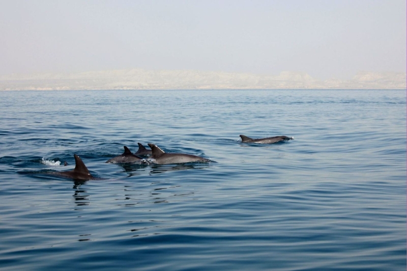 6 Day Halal Sun & Sand: Kish & Qeshm 2