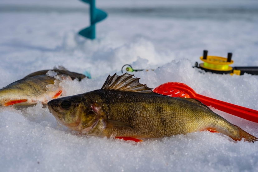 Private Lapland Ice Fishing with Sauna, Jacuzzi & Salmon Soup 2
