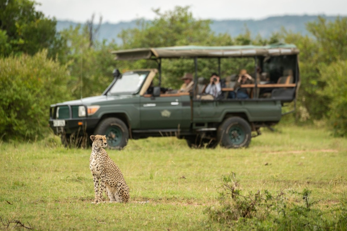 4 Day Masai Mara & Lake Nakuru Big 5 Safari 1