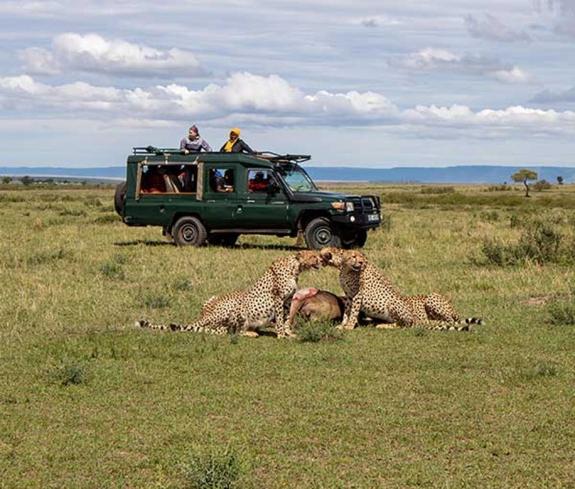 4 Day Masai Mara & Lake Nakuru Big 5 Safari 4