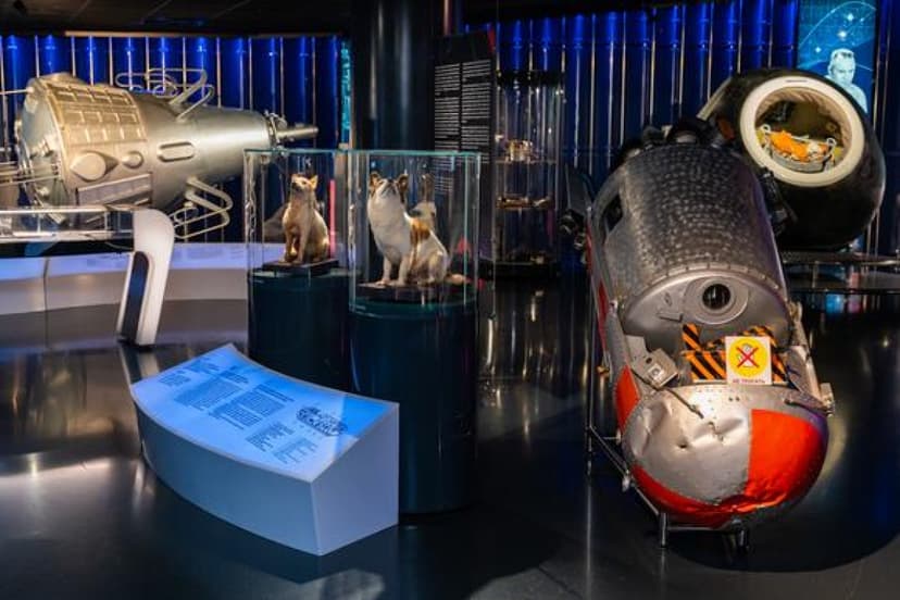 Moscow Grand Tour: Kremlin, Cosmonautics & Circus 4
