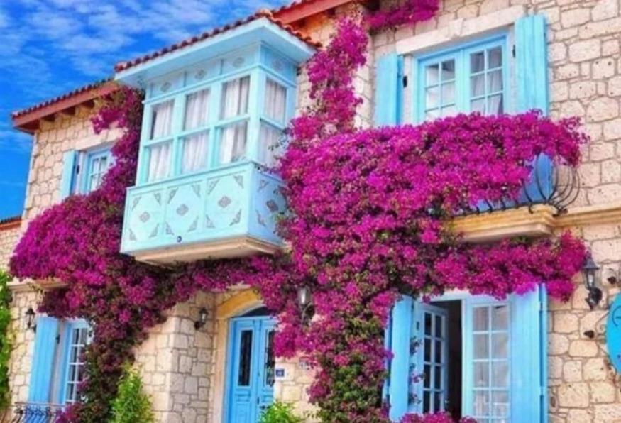 6 Days Cesme City & Cooking Tour 6 Days Cesme City & Cooking Tour