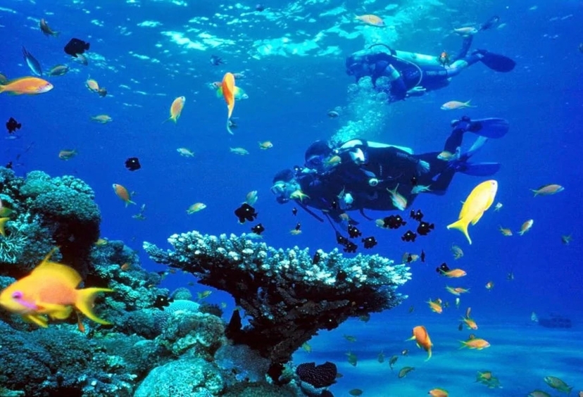 Antalya Aquarium Tour – Skip the Line & Explore the World’s Longest Tunnel Aquarium 2