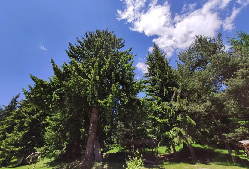 2 Days Sofia Adventure Vitosha Mountain Tour 3