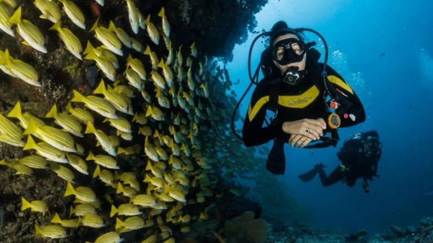Antalya Scuba Diving Tour – Discover the Underwater Wonders of the Mediterranean Antalya Scuba Diving Tour – Discover the Underwater Wonders of the Mediterranean