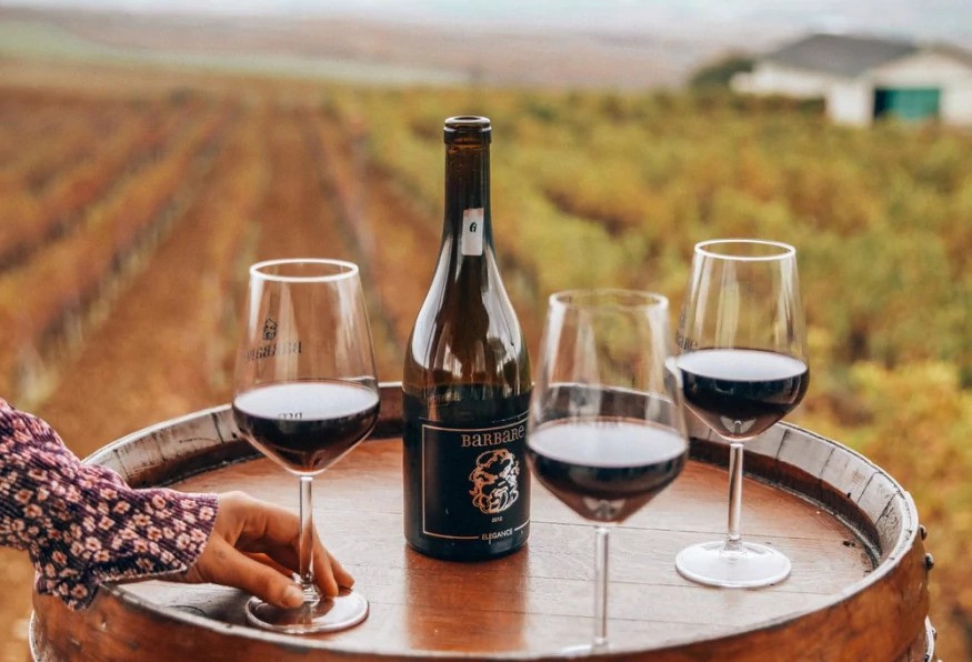 Daily Edirne Tekirdag Wine Tasting Tour 1