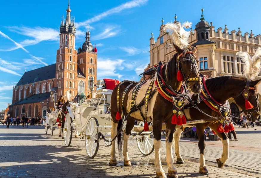 13 Days Polish and Baltic Jewels Tour 1