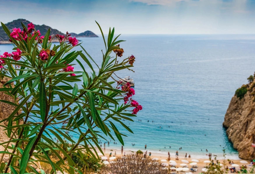 6 Days Kalkan City & Cooking Tour 1