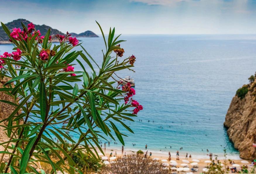 6 Days Kalkan City & Cooking Tour 6 Days Kalkan City & Cooking Tour