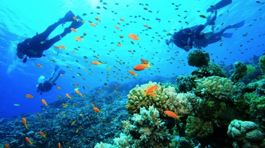 Daily Diving from Kemer Tour 1