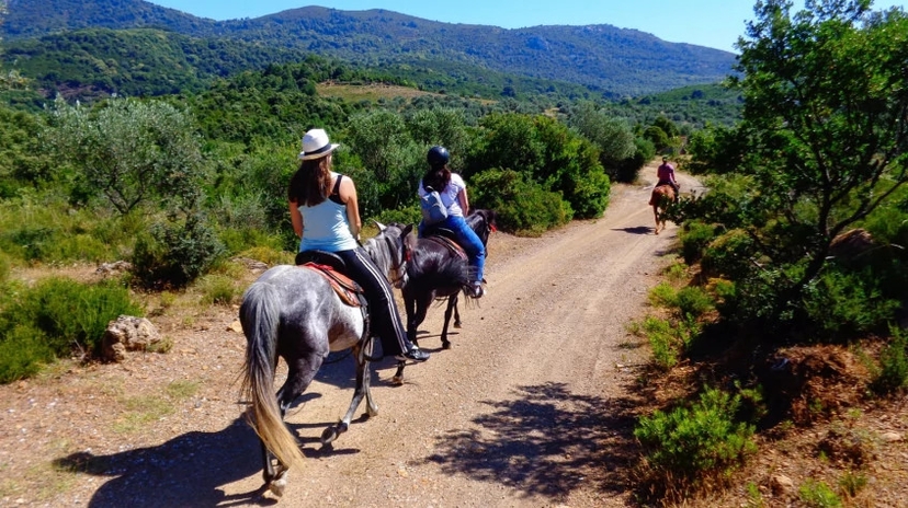 Daily Horse Riding Tour On Patara Beach 3
