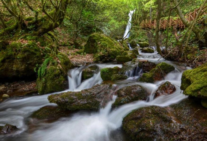Daily Duzce Eftani Lake and Waterfalls Tour Daily Duzce Eftani Lake and Waterfalls Tour