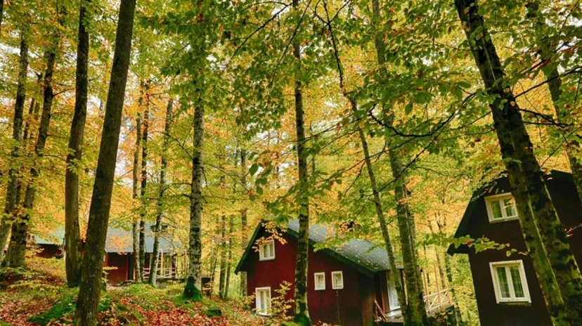 Daily Yedigoller Tour from Bolu 3