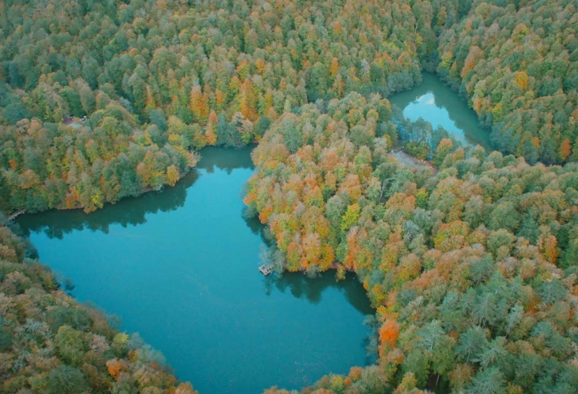 Daily Yedigoller Tour from Bolu 4